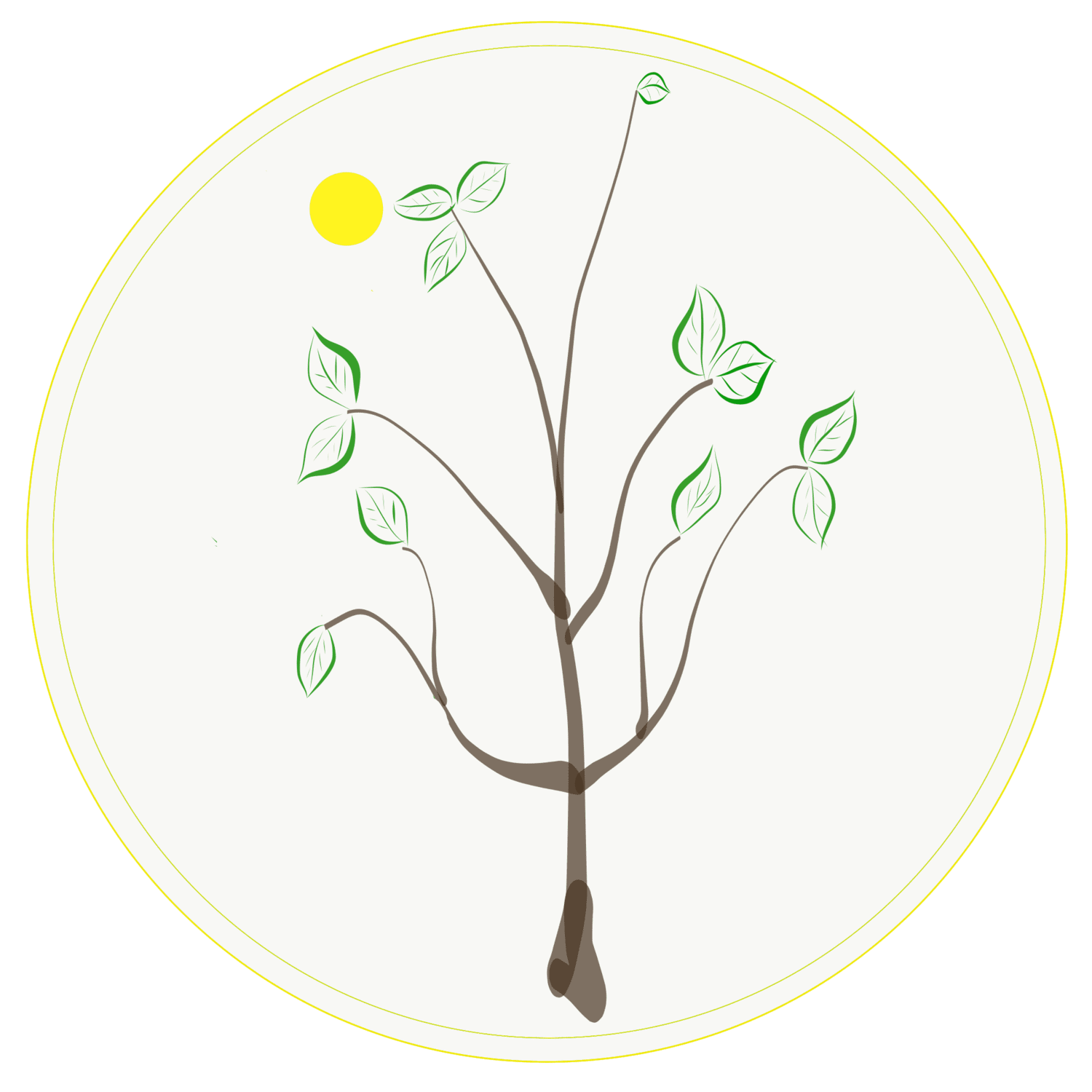 Black Walnut Botanical Conference Logo