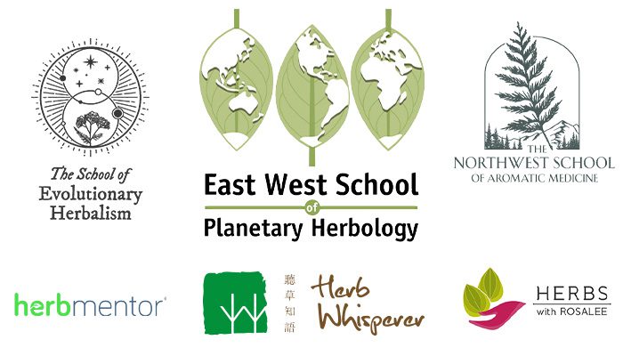 Herbal Schools logos