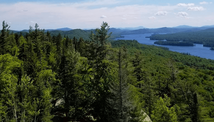 Faery And Earth Festival logo