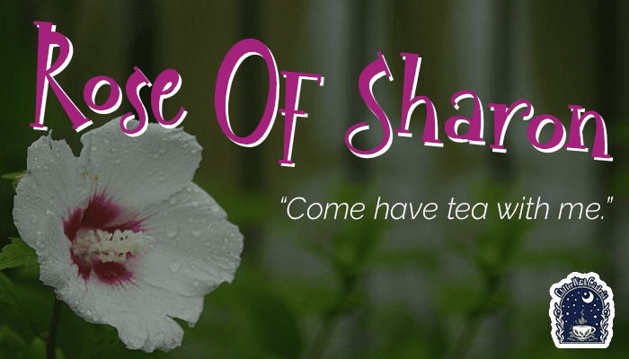 Rose of Sharon