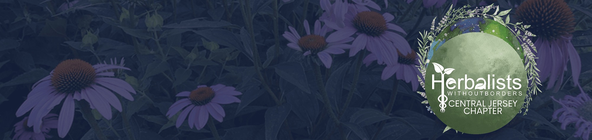 HWB Central Jersey Chapter logo on dark blue background