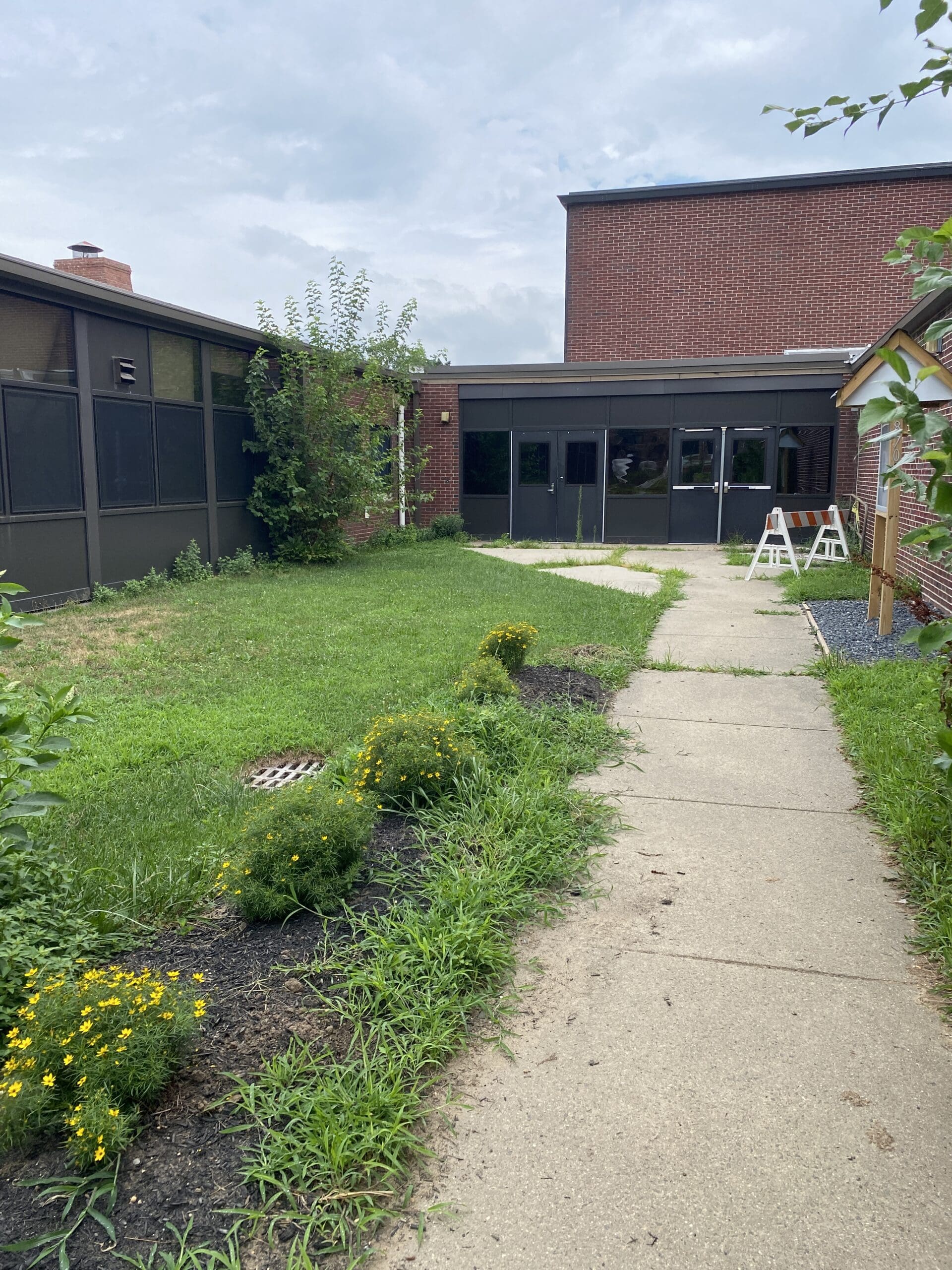 Grassy area in the HWHH school garden club courtyard