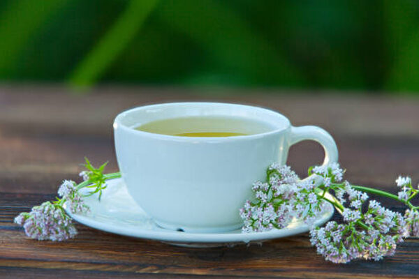 valerian tea