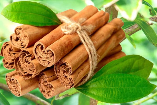 ceylon cinnamon