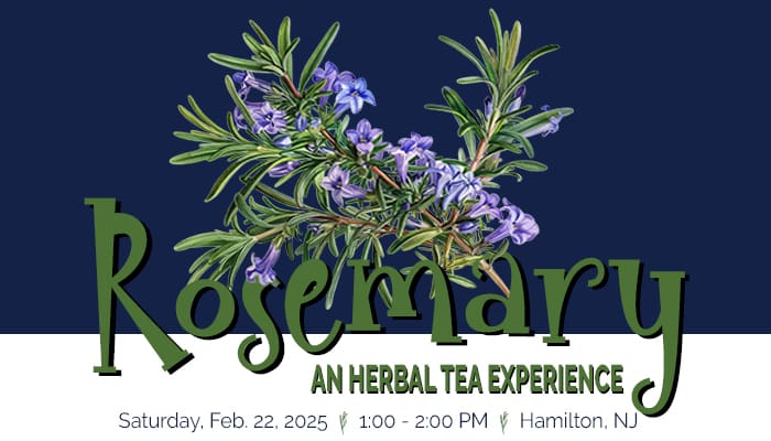 Rosemary Tea Tasting
