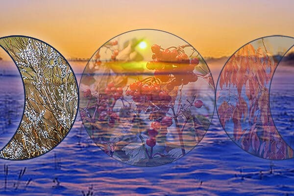 Triple Goddess symbol outline represented by the three stages of a cherry tree - flower, fruit, and fall foliage with a winter sunrise over a snowy field in the background.