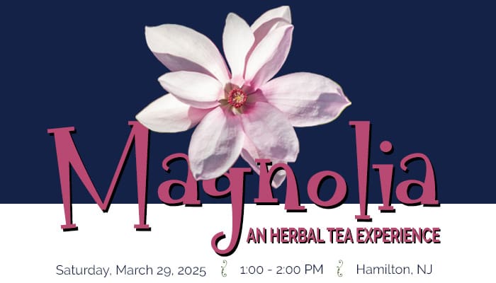 2025-03-29_Magnolia_700x400-Feature Magnolia Tea Tasting on 3/29/2025 at 1PM
