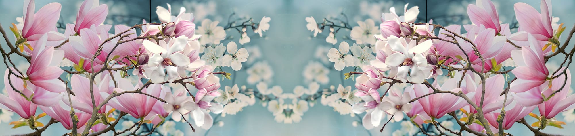 Ostara ⛤ Spring Equinox