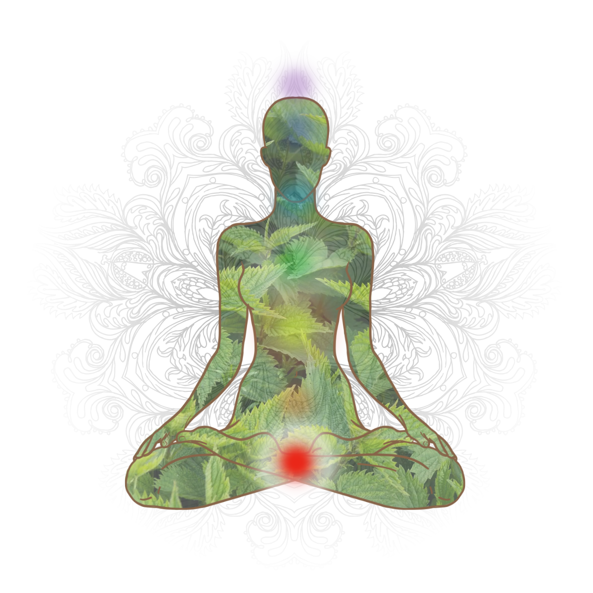 Stinging Nettle and root chakra correspondence